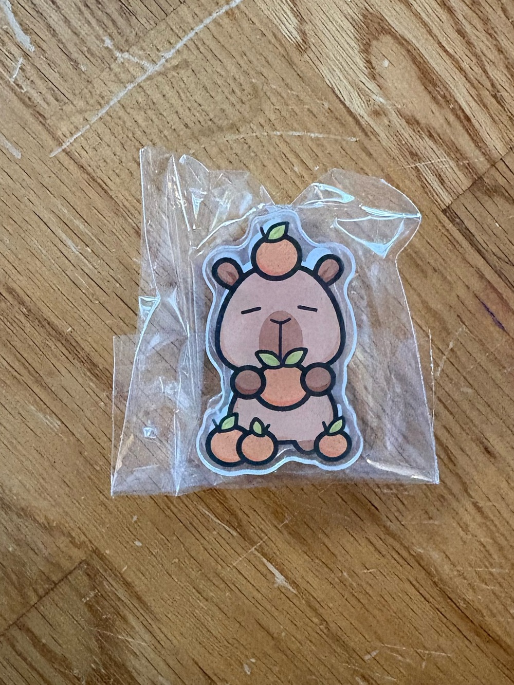 Hubman and Chubgirl Capybara Fall Cute with Oranges clip page holder